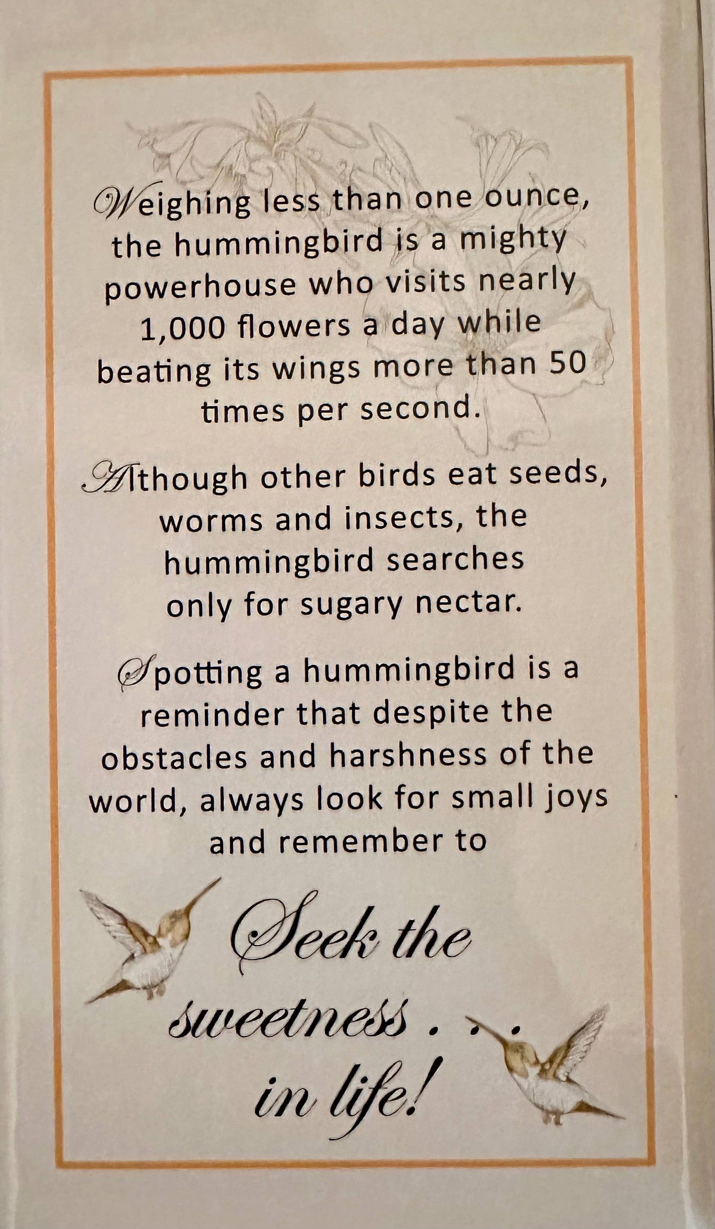 Hummingbird / Sparkle Necklace Jewelry