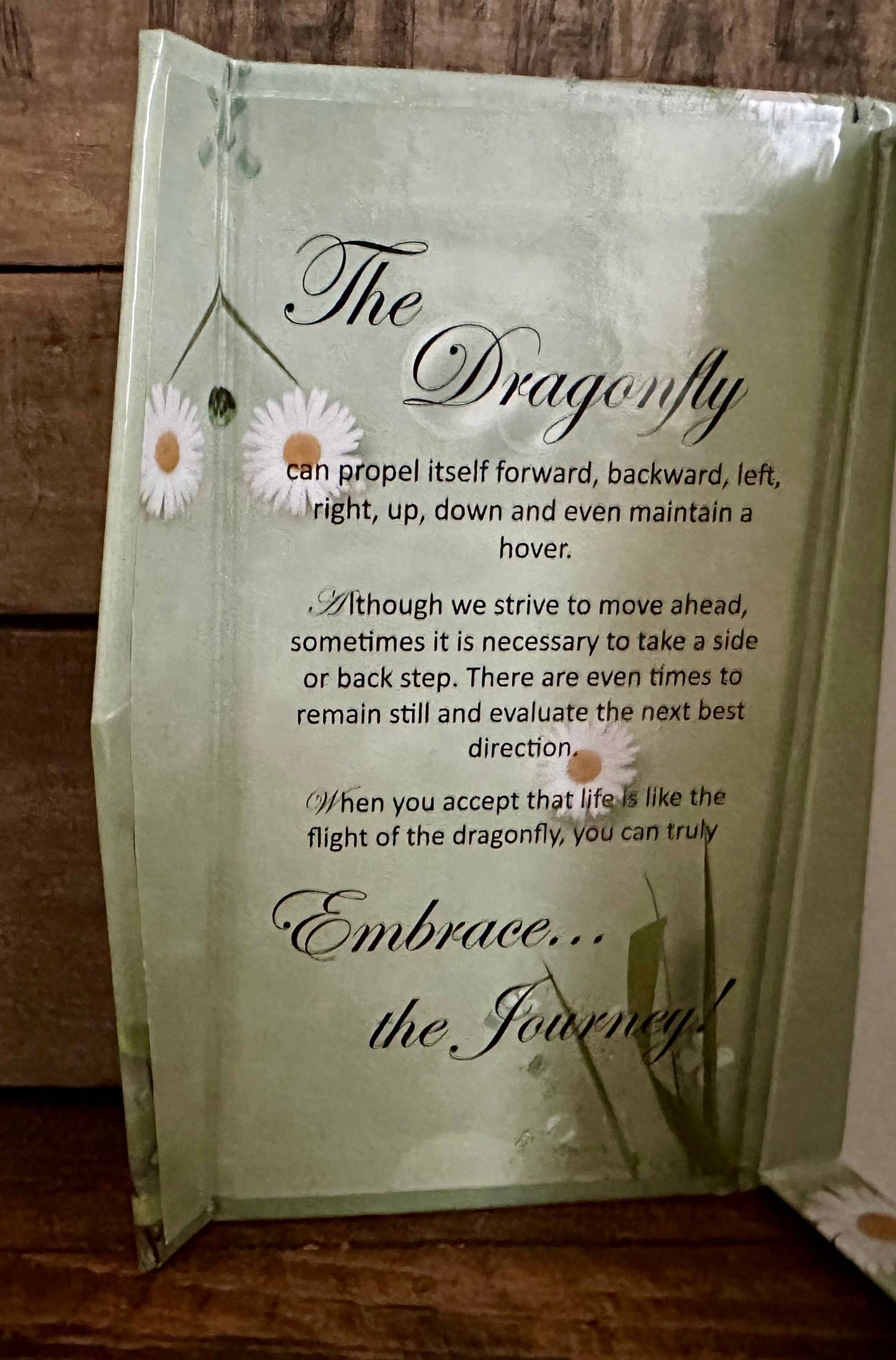 Dragonfly jewelry w/CZ Necklace in BOX