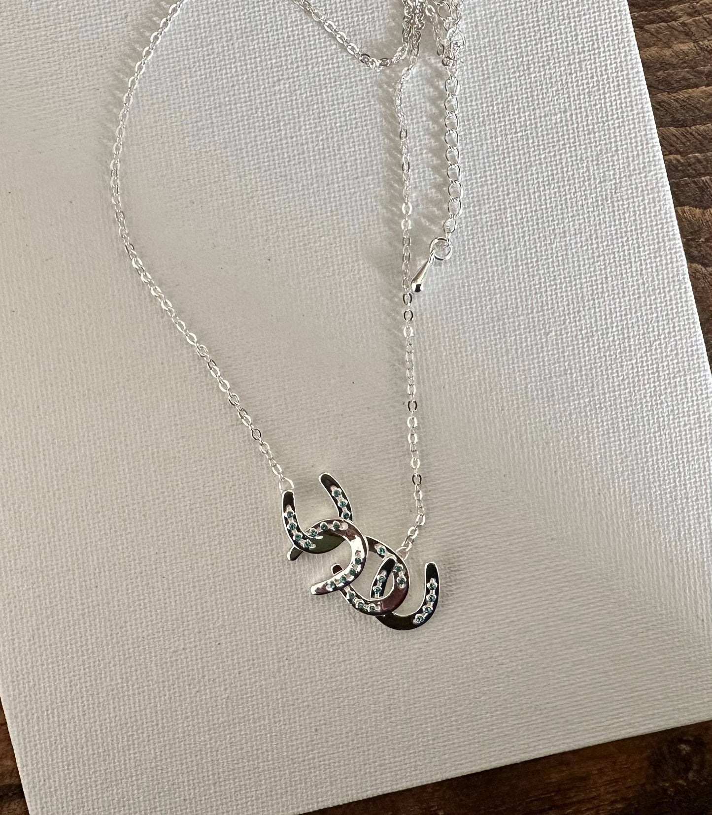 Horseshoes with AQUA cascadaing/Petite Necklace Jewelry