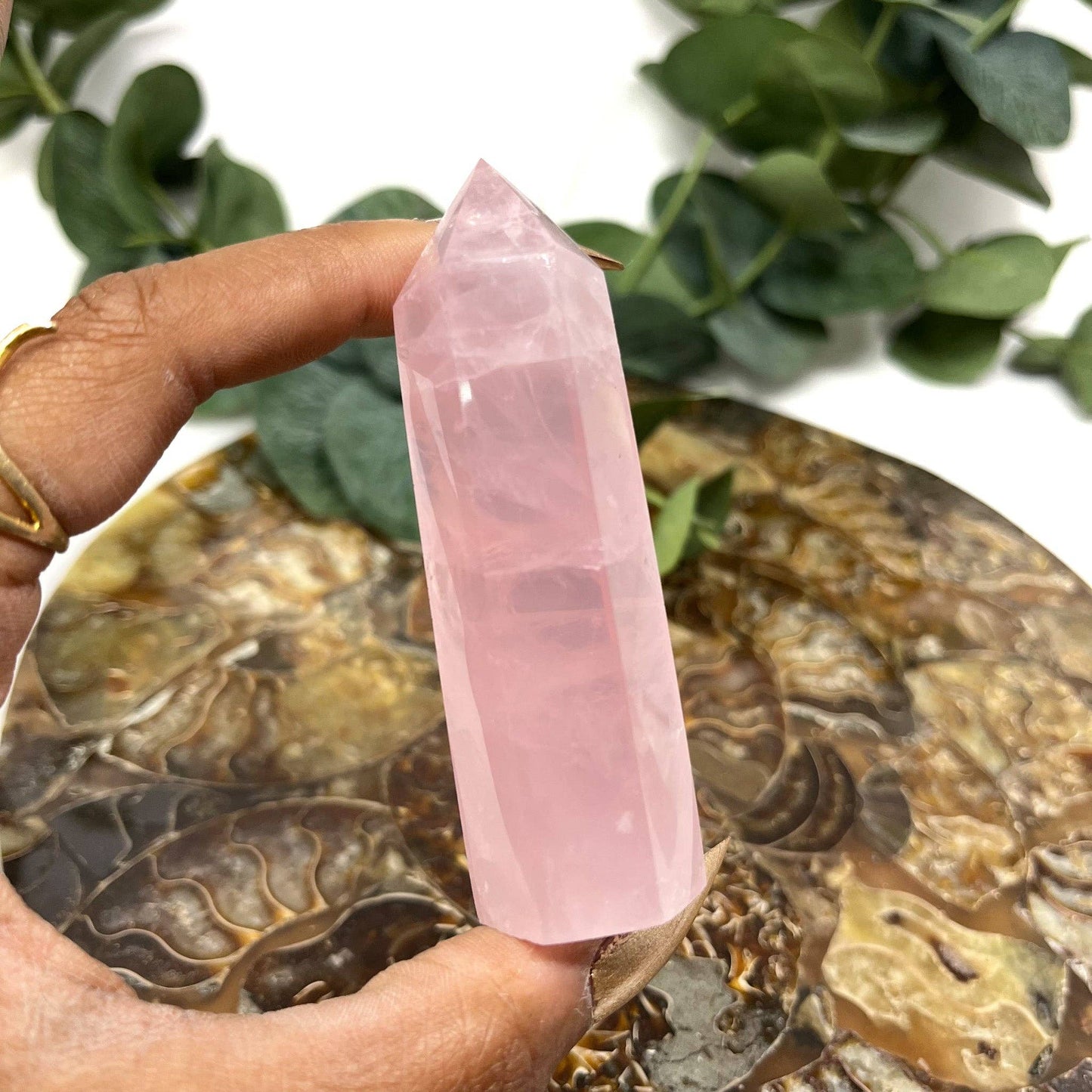 Rose Quartz Point