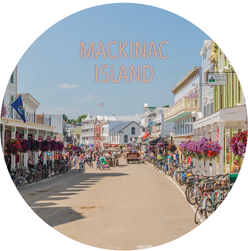 MACKINAC ISLAND FLEXIBLE MAGNET Michigan Gift from Local Artist