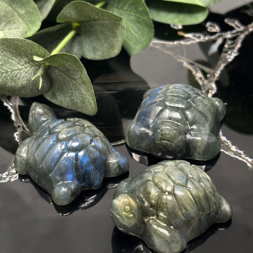 Labradorite Turtles - On Sale! Last chance