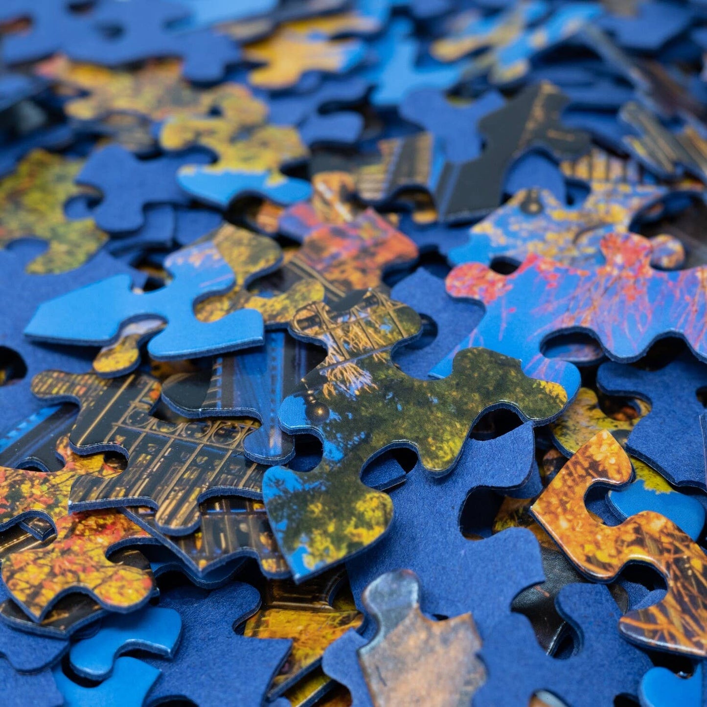 Grand Rapids - 300 Piece Puzzle