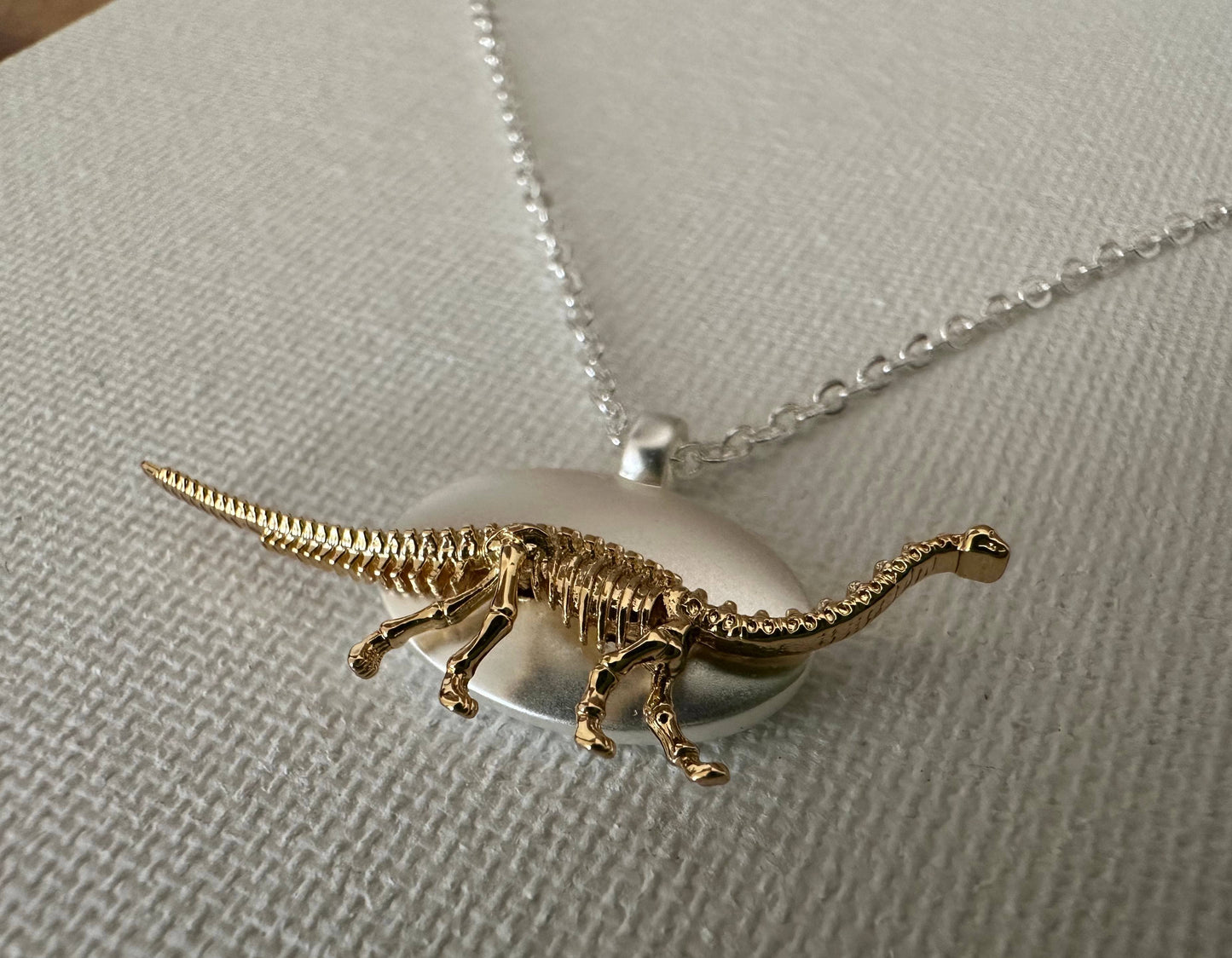 Dinosaur Skeleton Jewelry Necklace