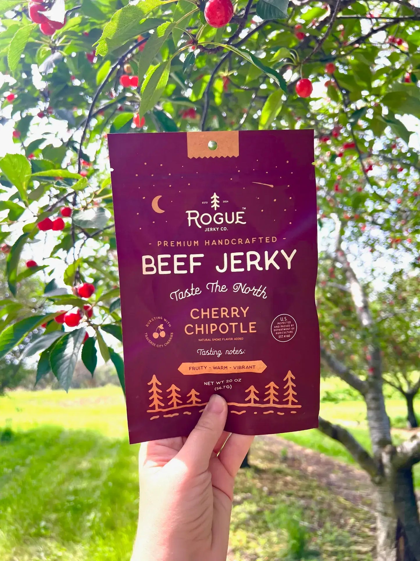 Beef Jerky Snack Starter Pack – 16 Bags (4 Flavors)