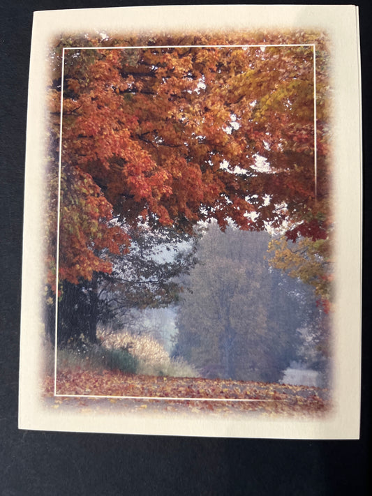 Autumn Road