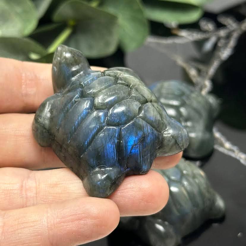 Labradorite Turtles - On Sale! Last chance