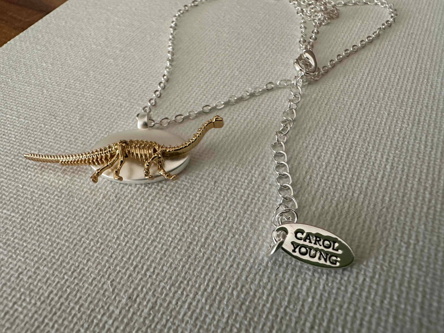 Dinosaur Skeleton Jewelry Necklace