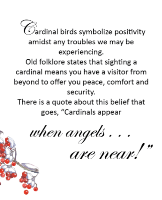 Cardinal with Hearts Jewelry Necklace in Box