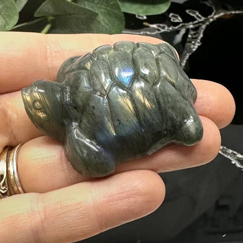 Labradorite Turtles - On Sale! Last chance